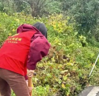 多舉措推進(jìn)生活垃圾分類工作走深走實